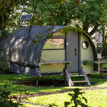 Yha New Forest-2